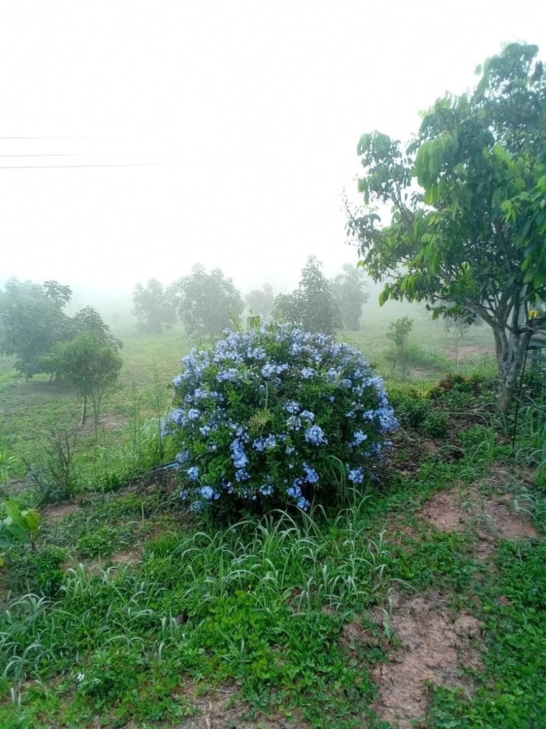 Phu Aram Khao Kho Resort ภายนอก รูปภาพ