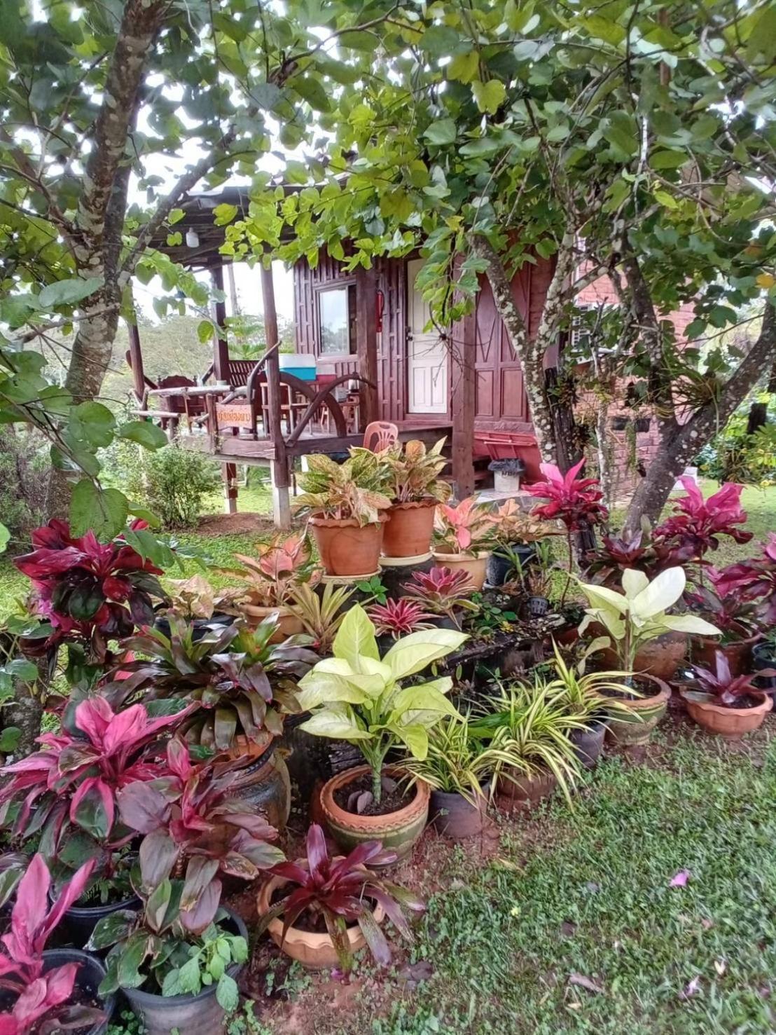 Phu Aram Khao Kho Resort ภายนอก รูปภาพ
